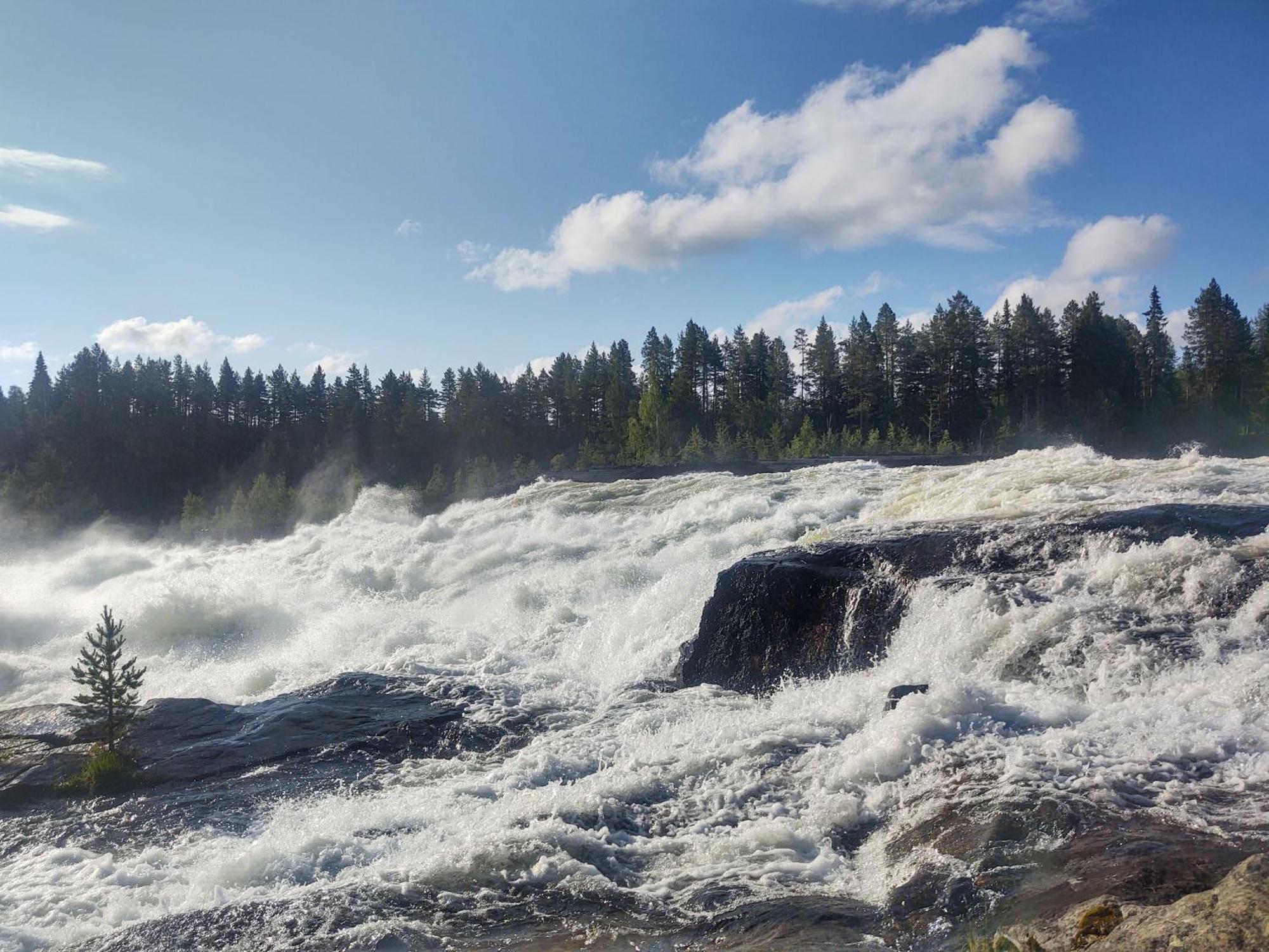 Selholmens Camping Älvsbyn Exteriör bild