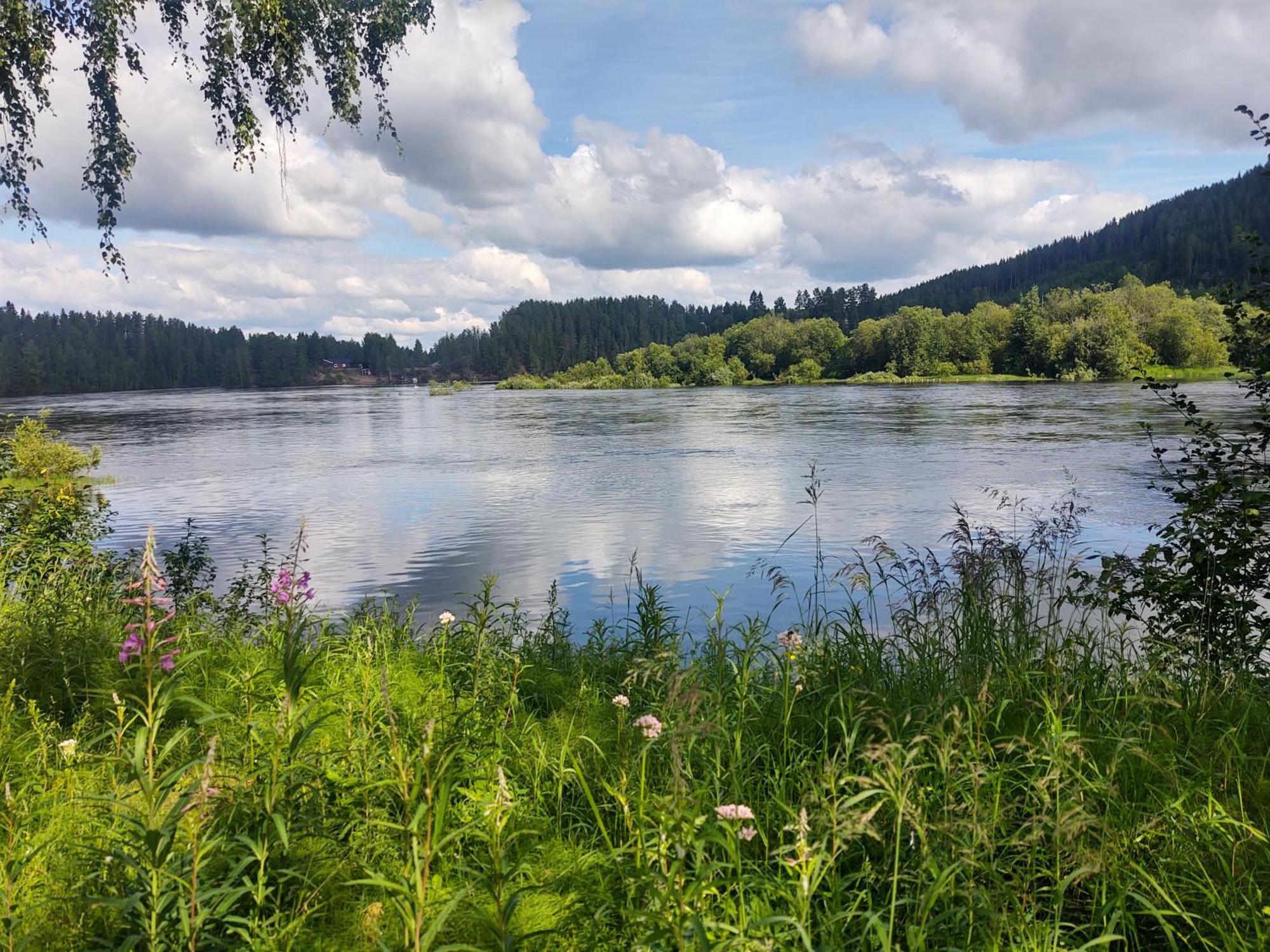 Selholmens Camping Älvsbyn Exteriör bild